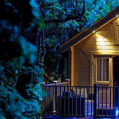 Villa Alum Chine Log Cabin à Bornemouth Extérieur photo