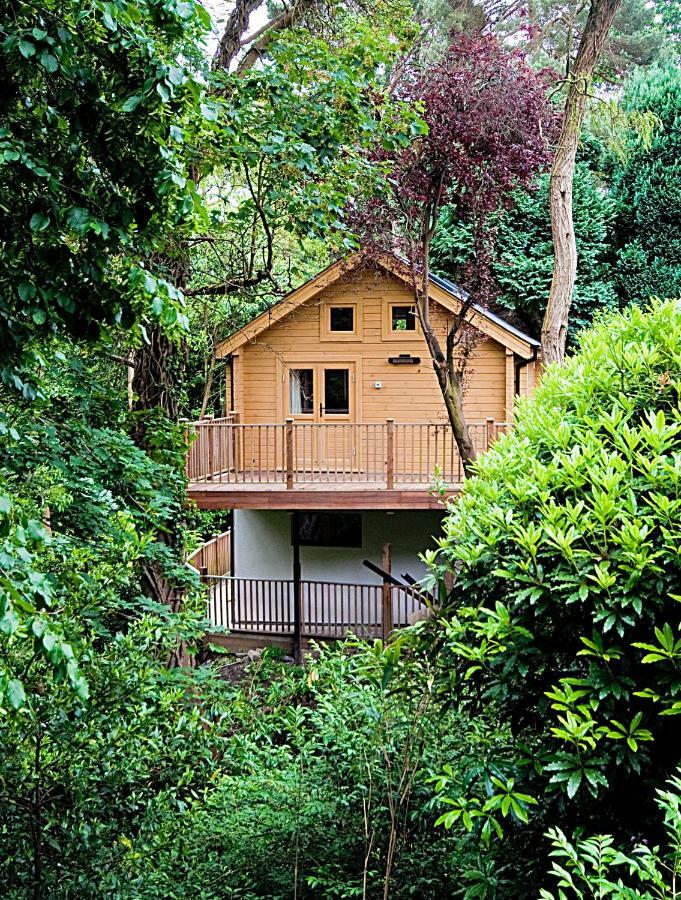 Villa Alum Chine Log Cabin à Bornemouth Extérieur photo